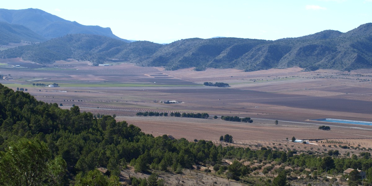 quesos tipicos de murcia