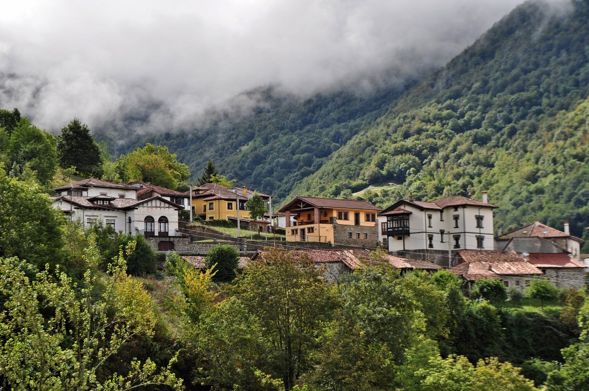 Parque Natural de Ponga