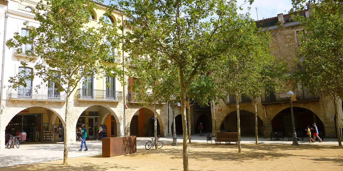 que veure al pla de l estany