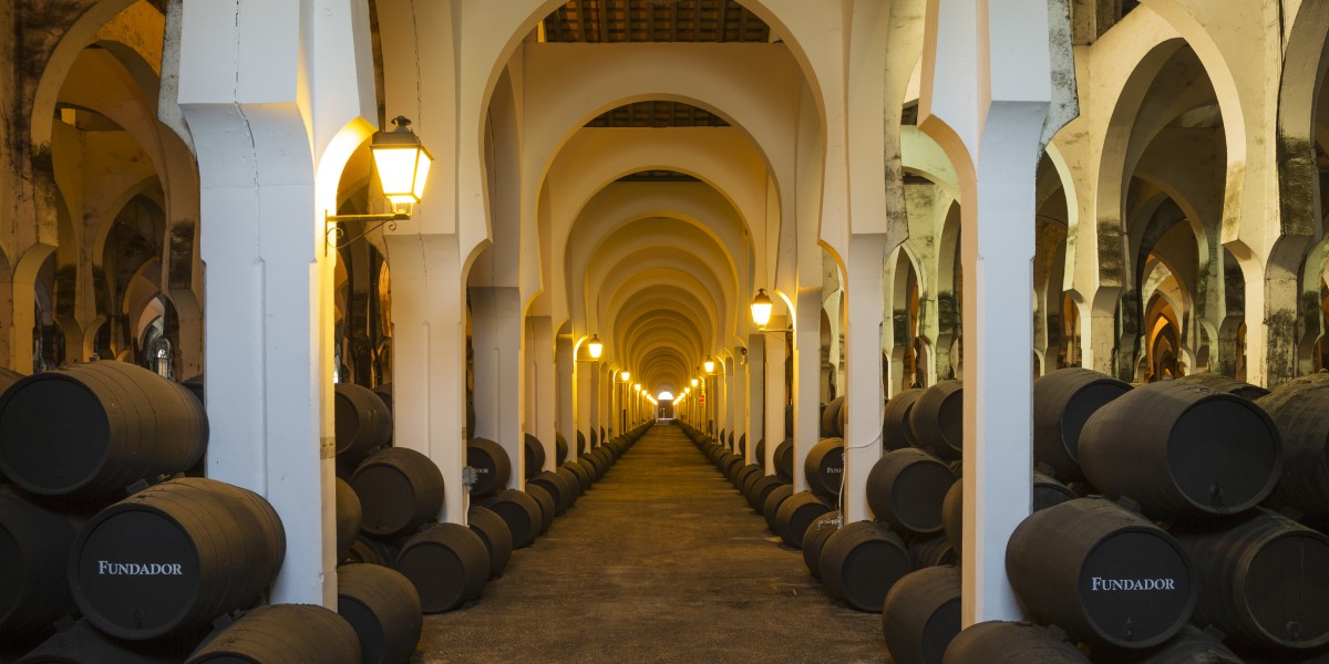 Bodegas Fundador Spain leader