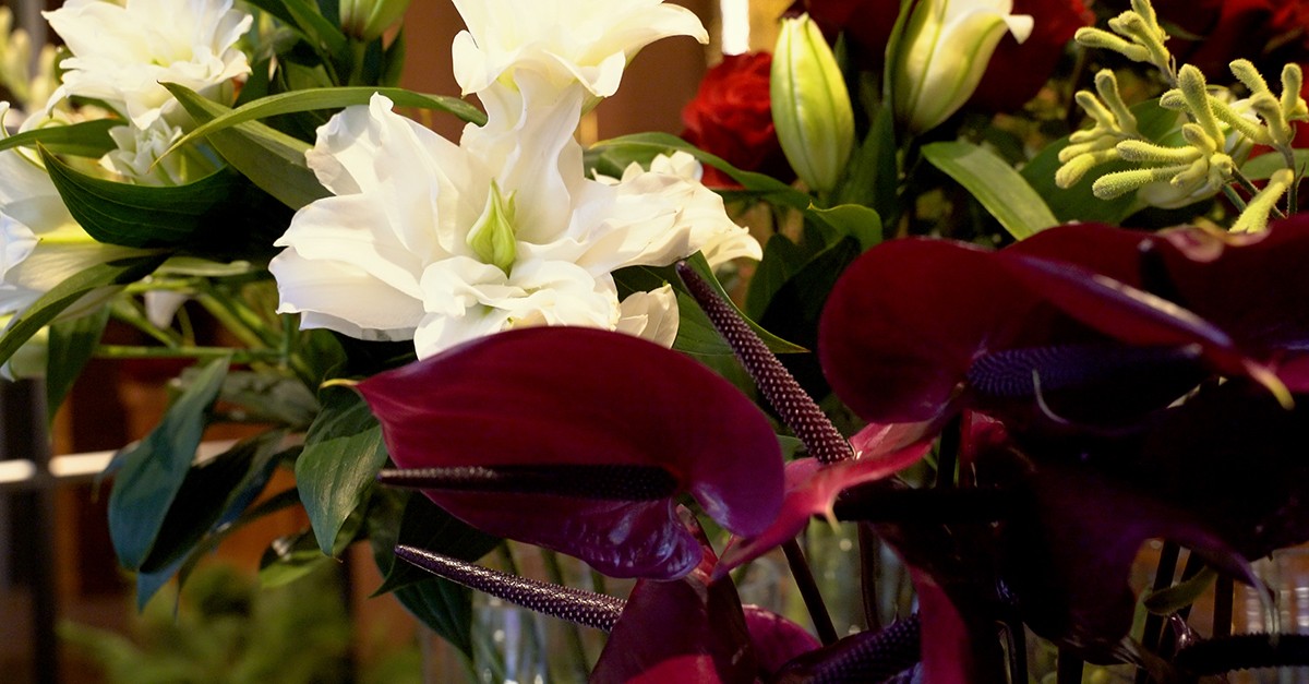 Floristería Flores Carlos de Troya