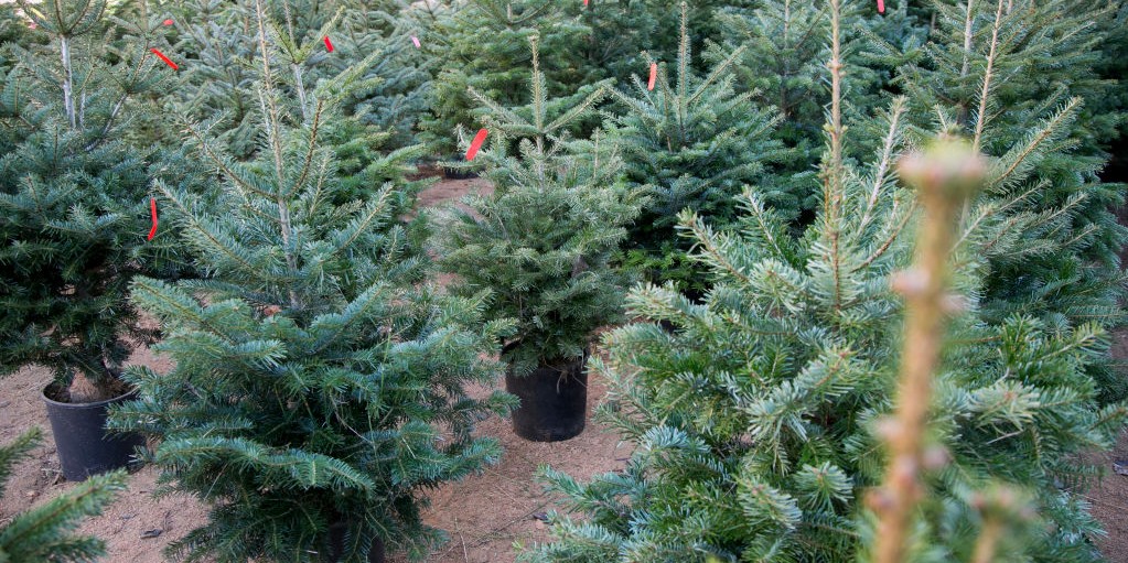 mercadillos navideños en barcelona