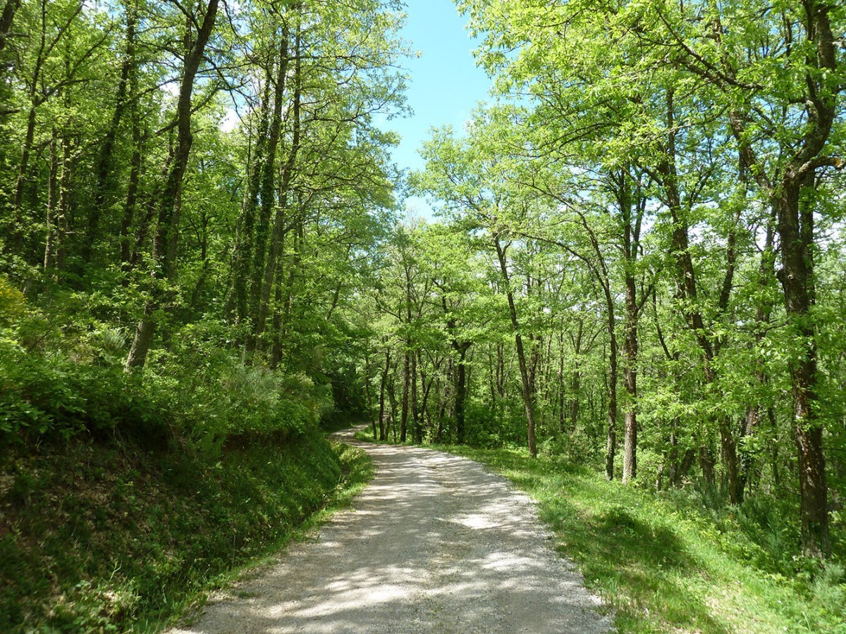 Ruta entre Cantabria y Burgos