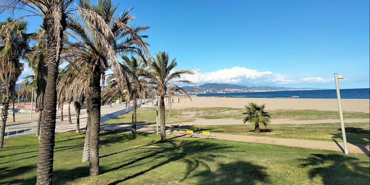 vivir en sant adria de besos