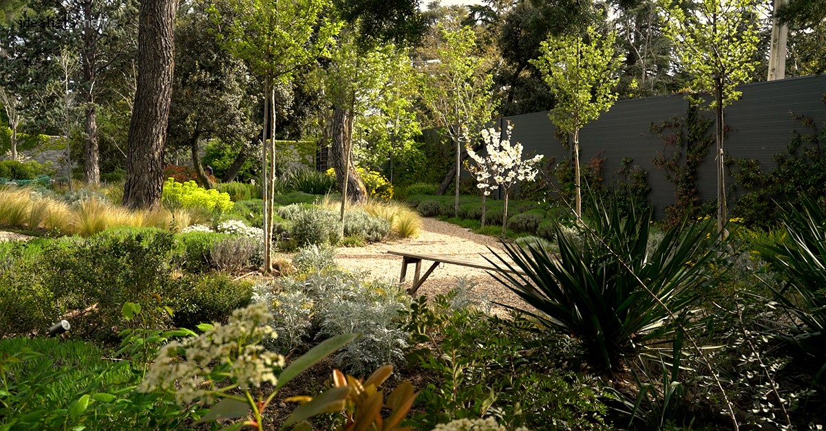 Jardín de la casa de Tristán Domecq 