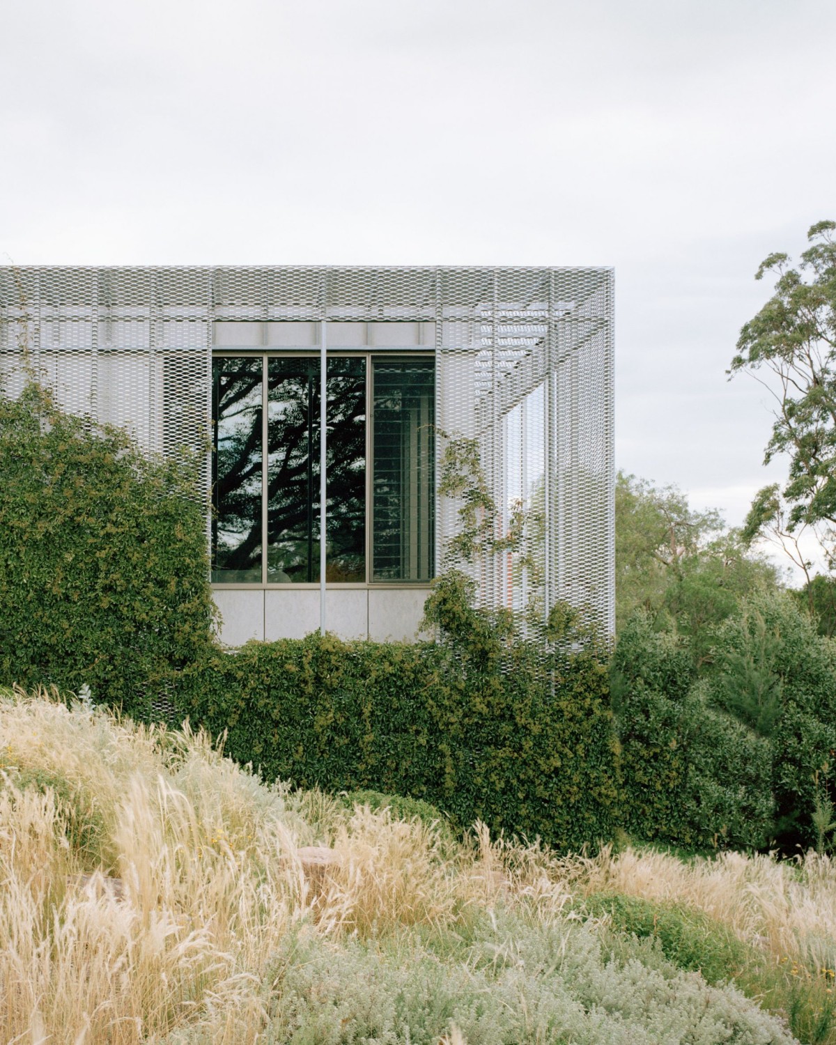 La malla exterior sirve también como estructura para enredaderas caducifolias, formando un sistema de sombreado integrado que deja pasar la luz del sol invernal al interior.