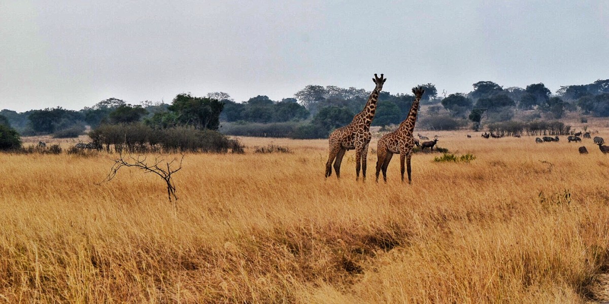Destinos a los que viajar en 2025 según National Geographic