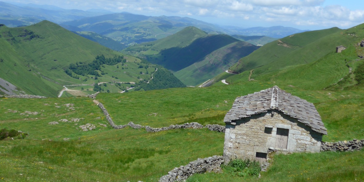 quesos tipicos de cantabria