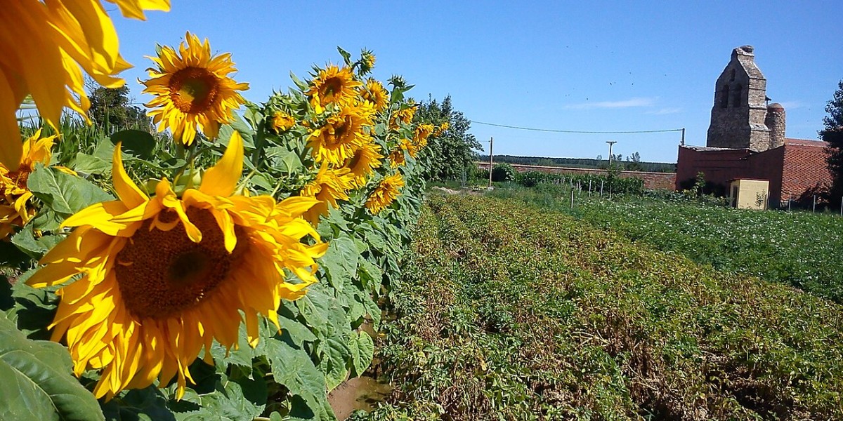 pueblo mas pequeño de zamora