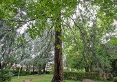 La casa de Luzmela: la antigua residencia de Concha Espina donde historia y literatura se abrazan
