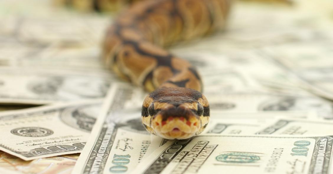 Una sentencia declara nula una hipoteca multidivisas