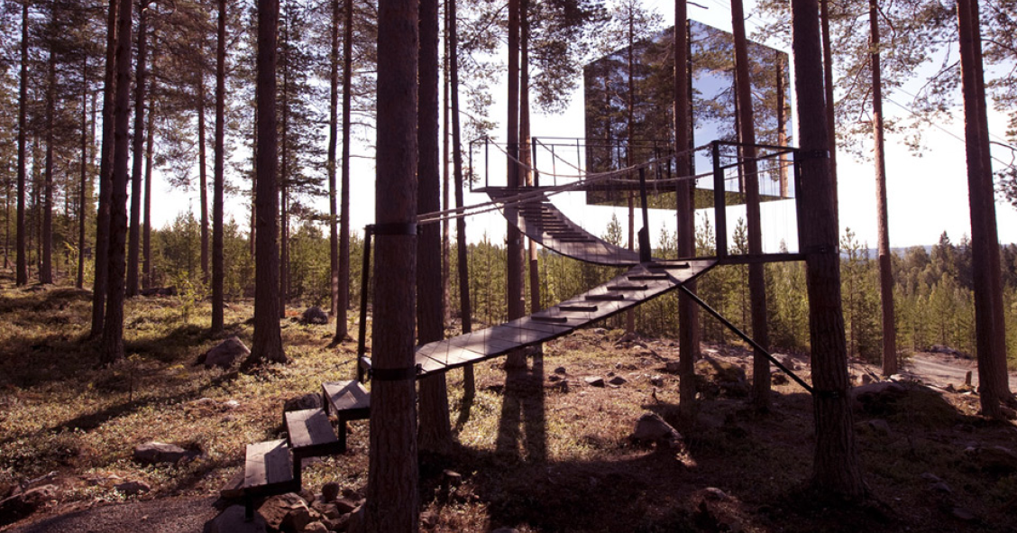 Vivir en lo alto de un árbol: casas únicas para irse por las ramas