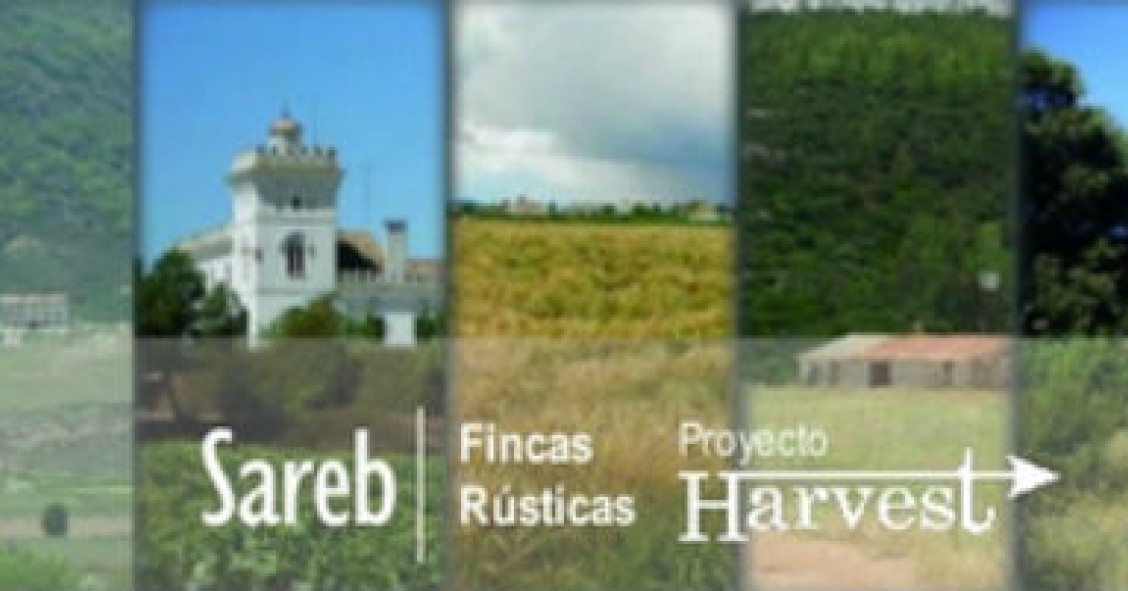 La venta de la cartera harvest de sareb marcha: vendidas 2.000 hectáreas de suelo rústico desde septiembre