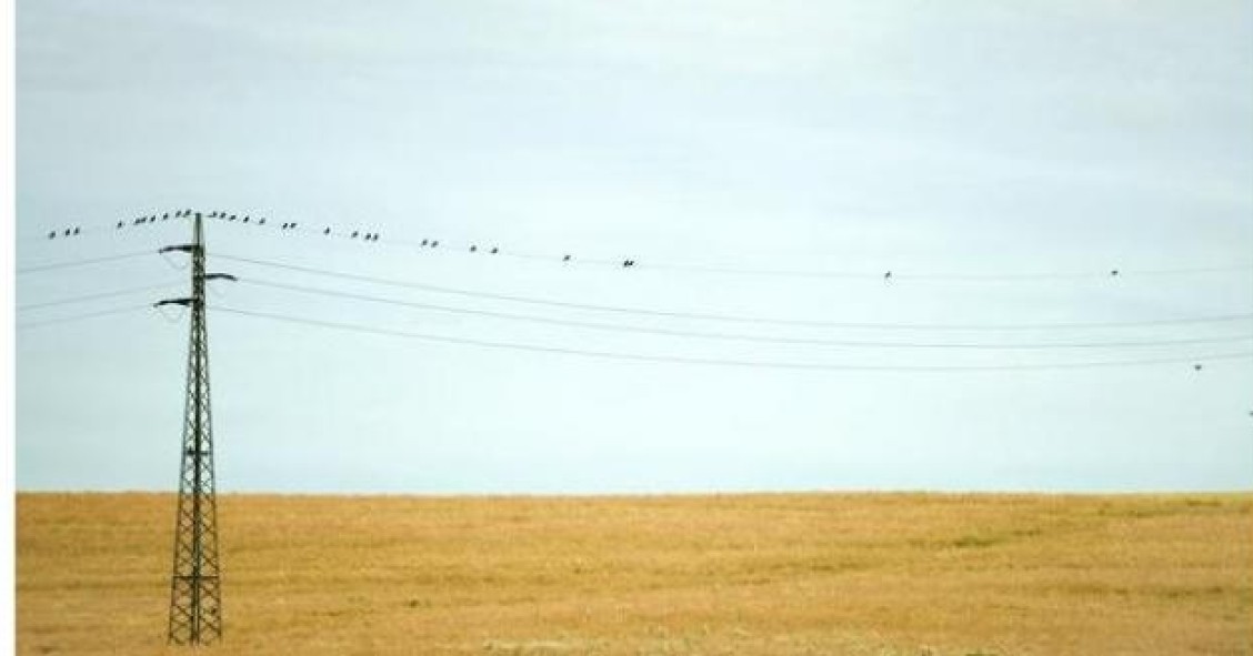 El supremo aclara que el suelo Urbano donde no se haya construido pagará ibi como si fuera rústico