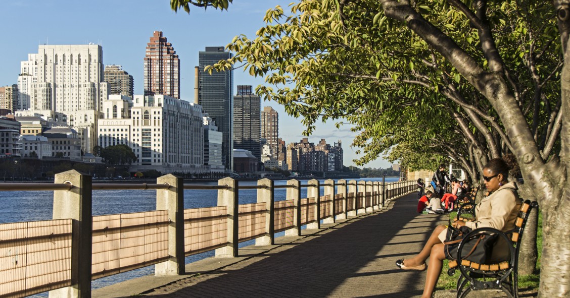 vistas de nueva york