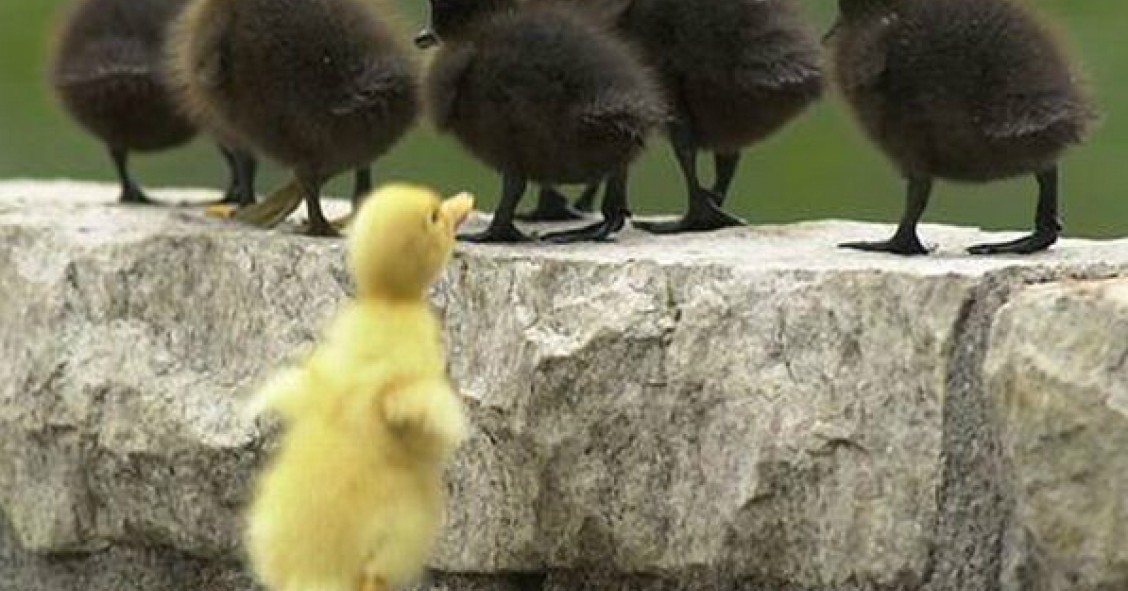 ¿Quiénes son los grandes excluidos de las hipotecas?