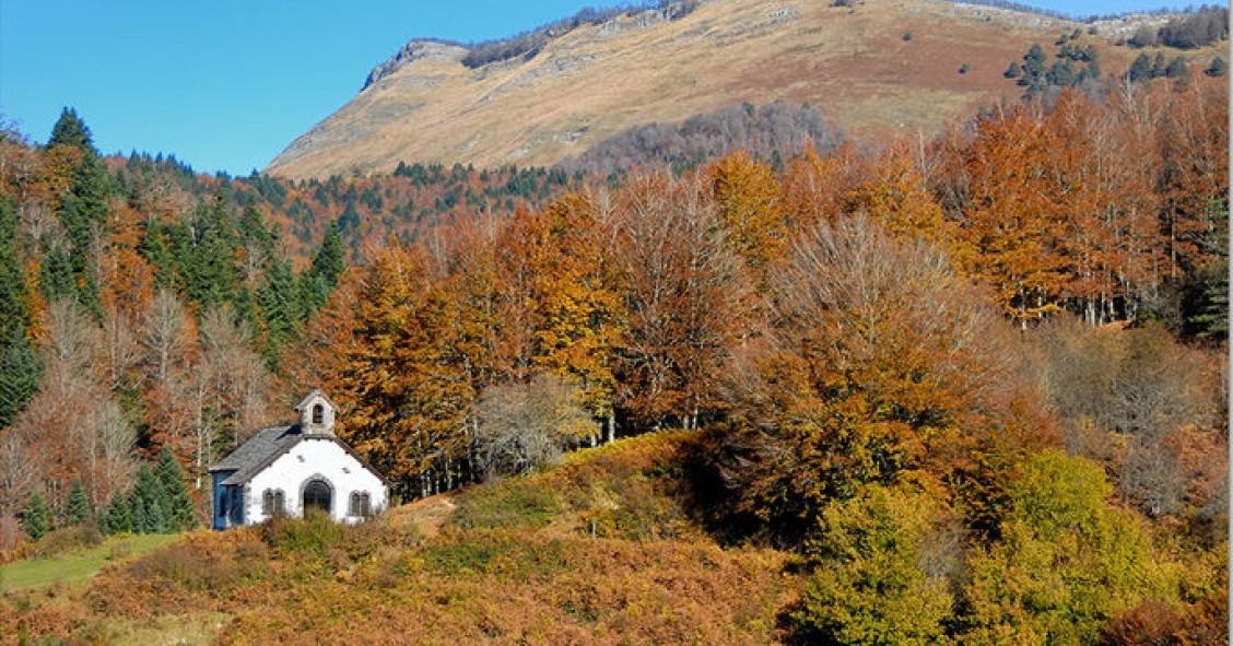 Selva de Irati