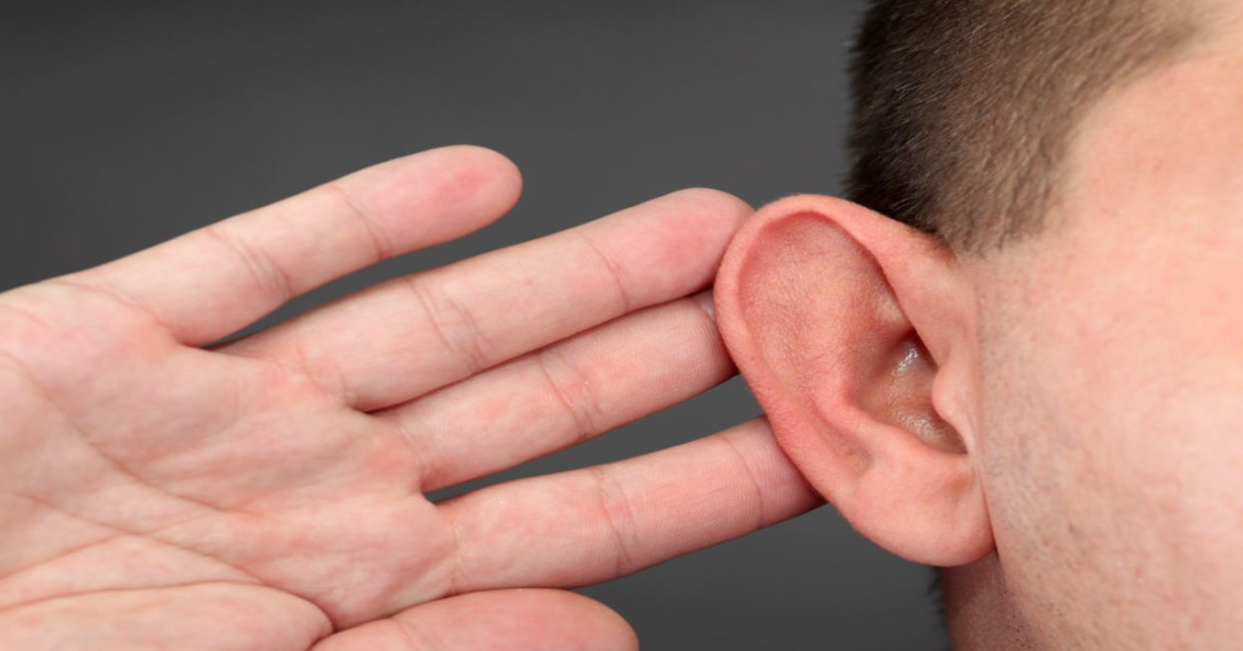 Cómo consigue un arquitecto que las casas te entren por el oído