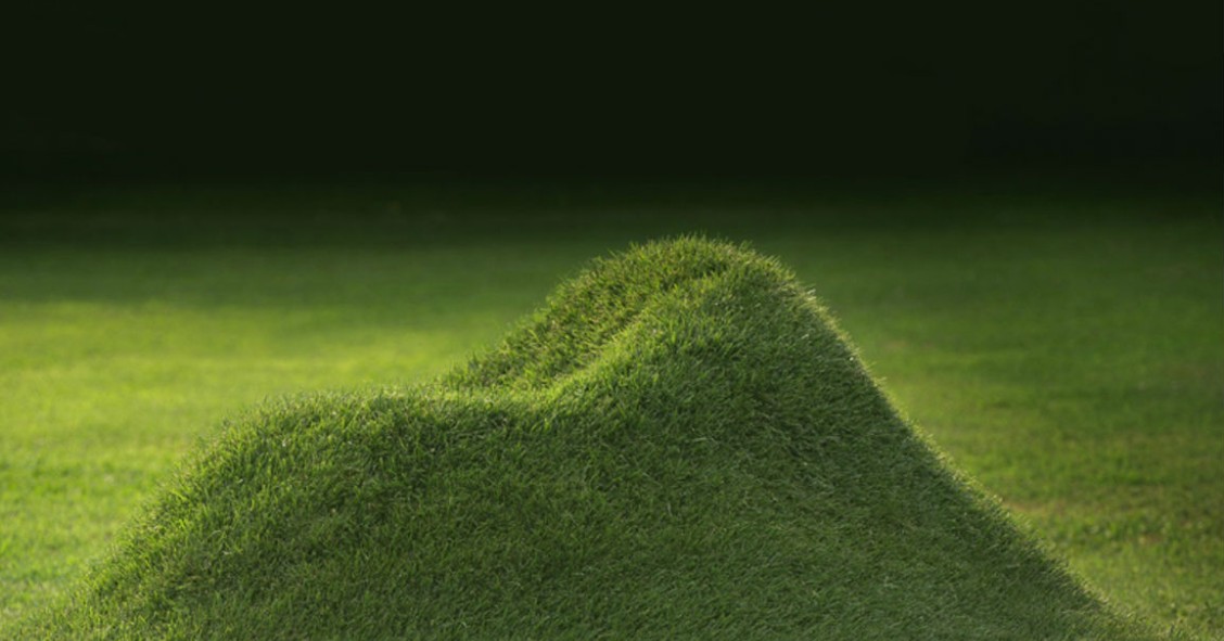 No compres sillas para tu jardín: cultívalas como si fueran plantas