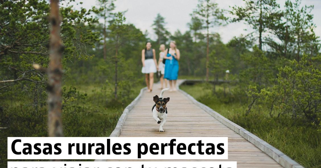 Casas rurales para una escapada con tu mascota