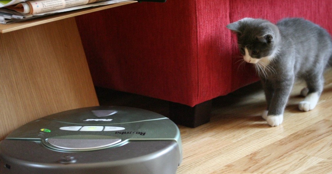 De altavoces que enloquecen a aspiradoras robóticas que la lían: las pifias más divertidas de la ‘smart home’