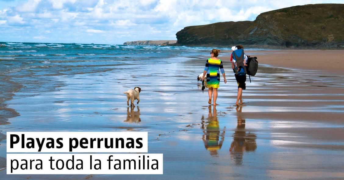 Nuevas playas "pet-friendly" para ir de vacaciones con tu perro