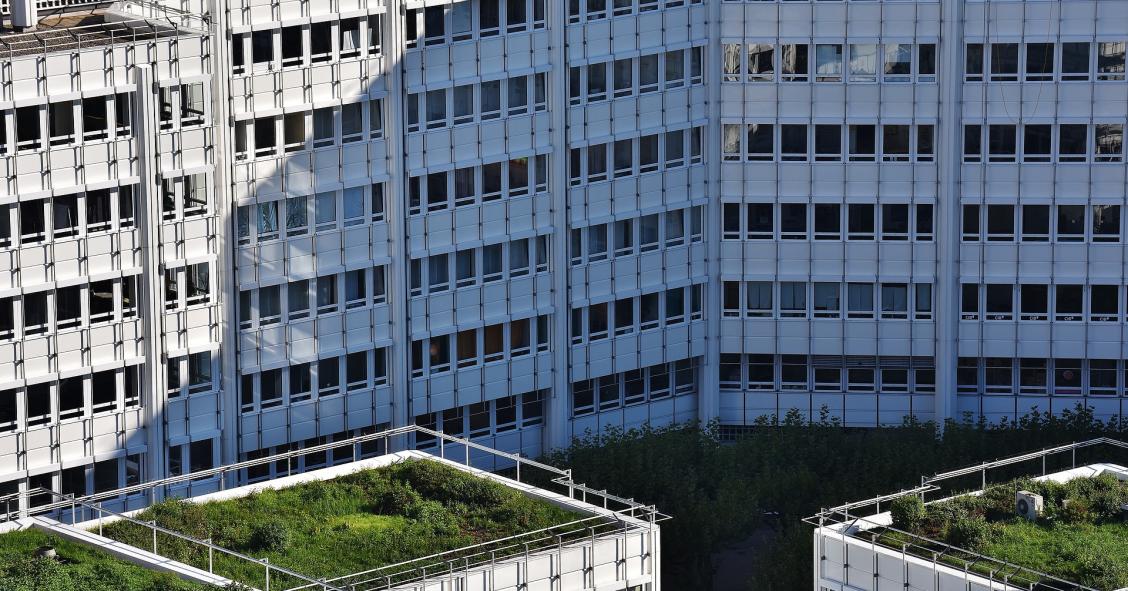 Hackeos domésticos: llegan las cubiertas verdes a las ciudades