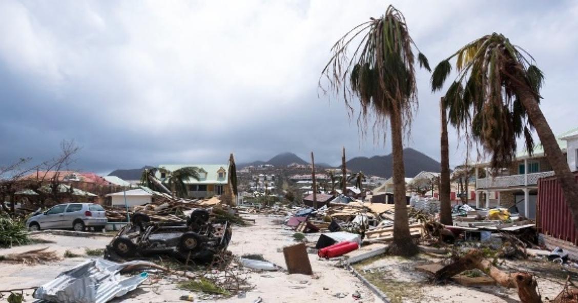 Nace la primera app que permite a los ciudadanos luchar contra los desastres naturales