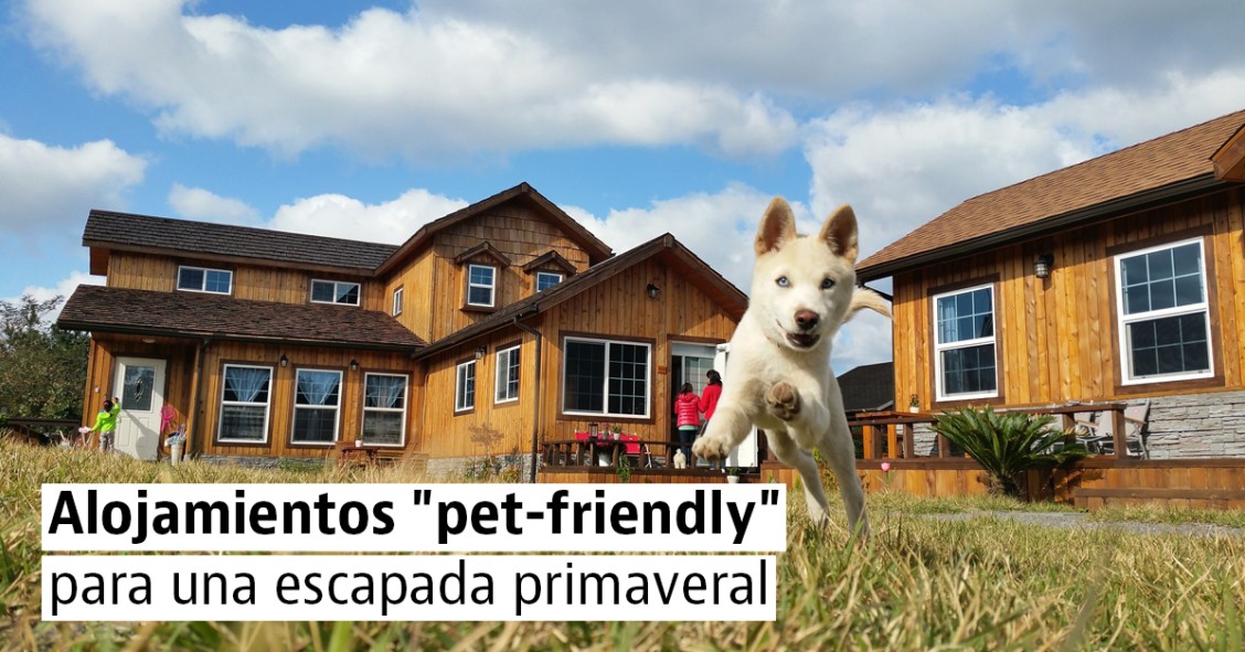 Alojamientos para una escapada con tu perro