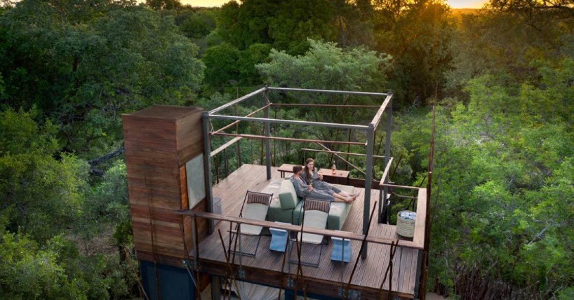 El hotel que invita a dormir en una casa-árbol en plena naturaleza sudafricana
