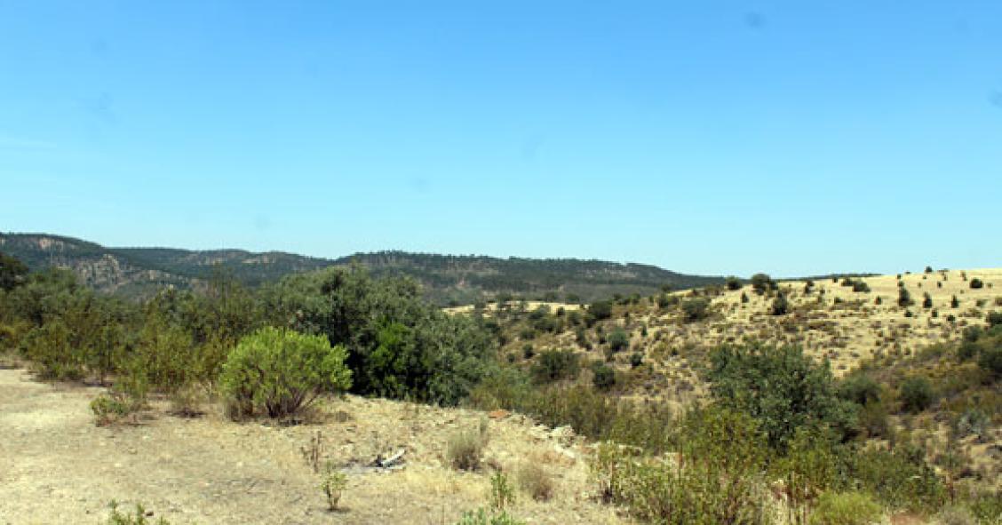 En venta 1.500 suelos para levantar chalets por particulares o promotores locales
