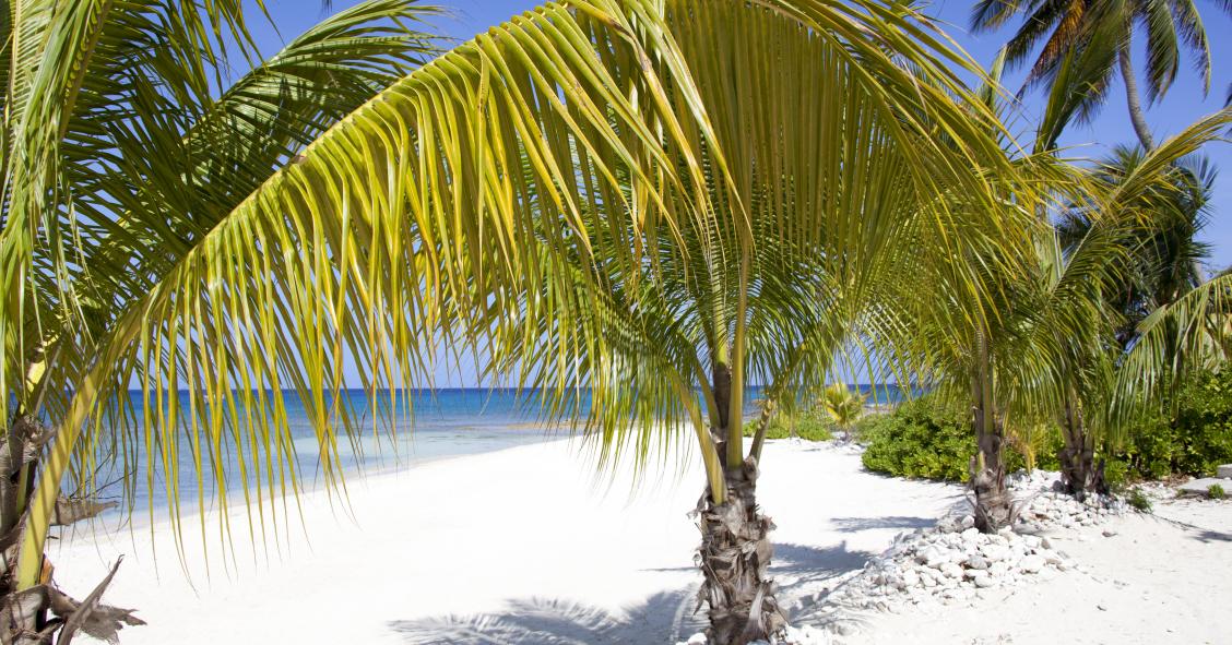 Ya puedes vivir y teletrabajar en el paraíso de Islas Caimán con una condición: ganar 85.000 euros