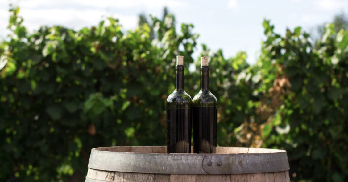 Visit Spanish bodega wineries, among the best winemakers worldwide