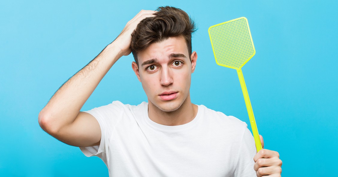 De cucarachas a ratas y mosquitos: cómo actuar con esa fauna con la que no quieres compartir tu casa