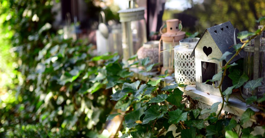 Ocho pequeños árboles para plantar en tu jardín