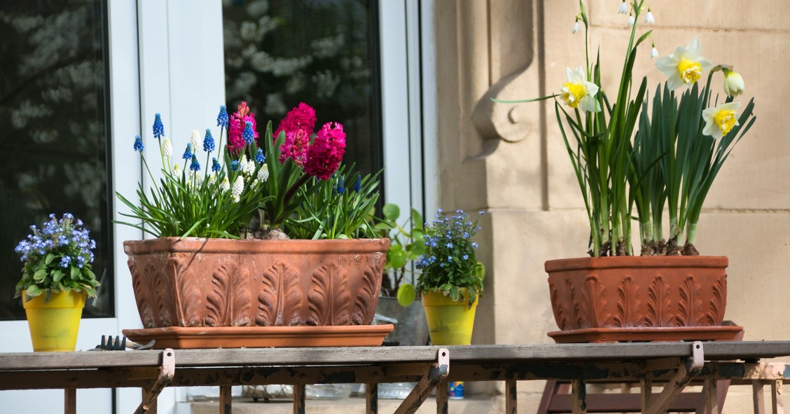 Consejos útiles para sacar todo el partido a tu terraza (incluso si es mini)