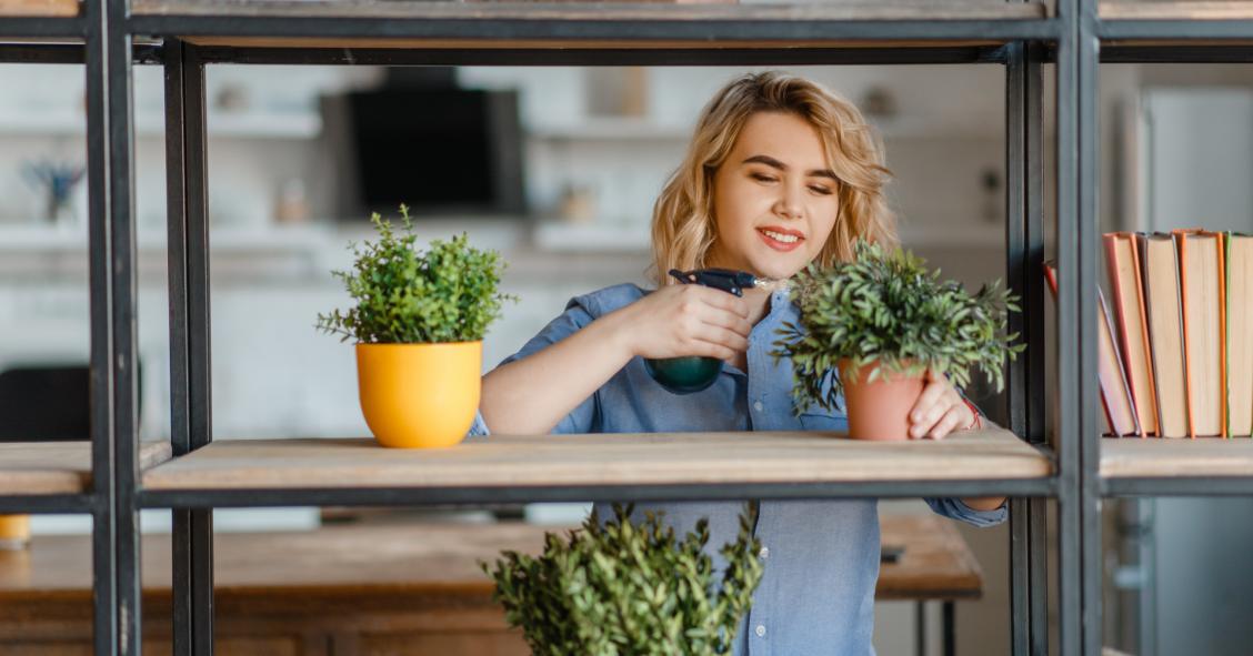 Qué tipos de plantas cultivar en casa para que aguanten todo el año