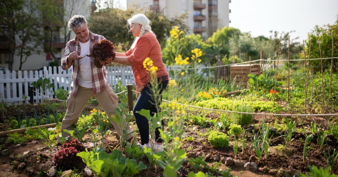 Calendario de cultivos: qué plantar en el huerto cada mes