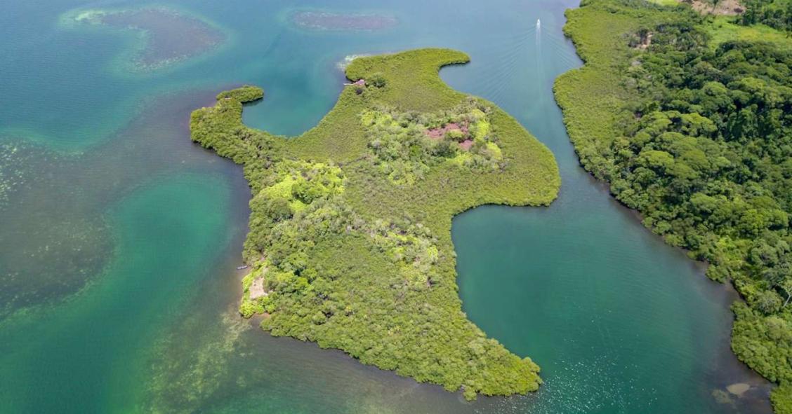 Esta isla es perfecta para construir la casa de tus sueños: está a la venta por 135.000 euros