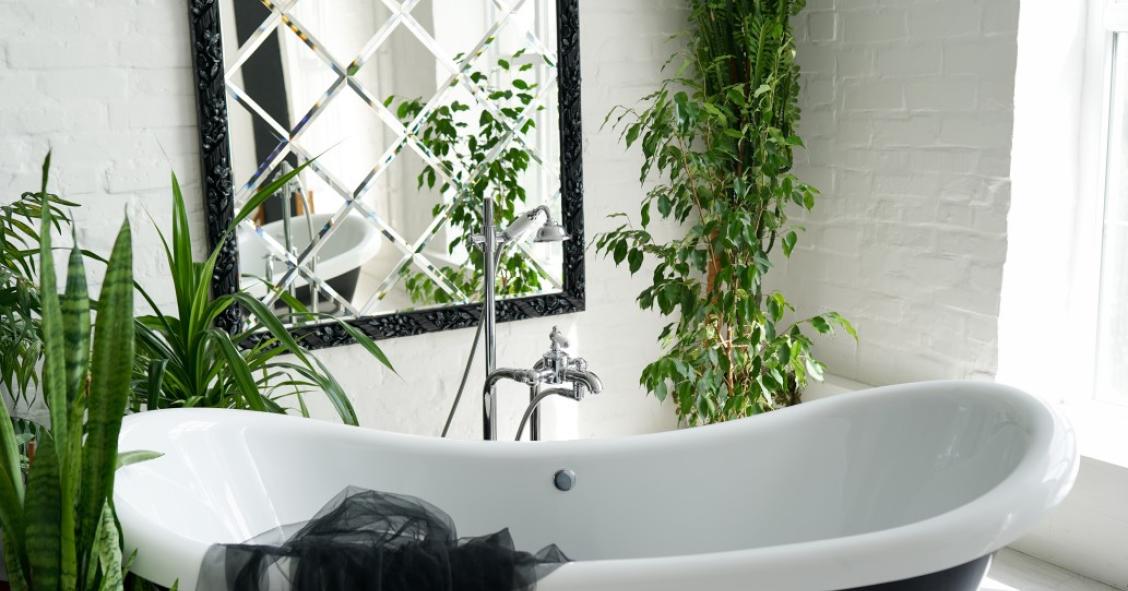 Plantas para el baño