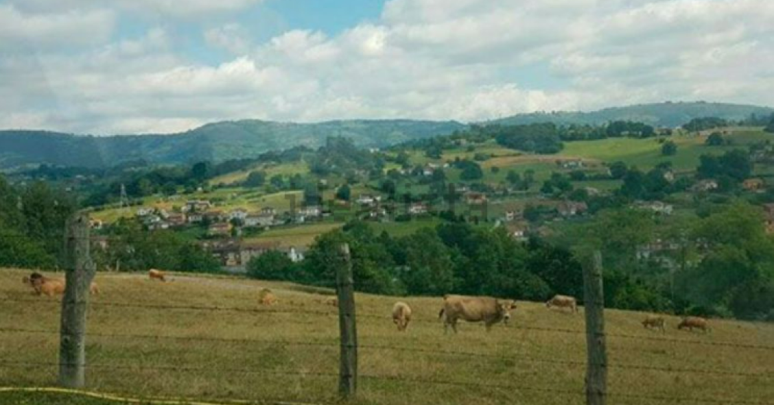 Las socimis a por los suelos agrícolas