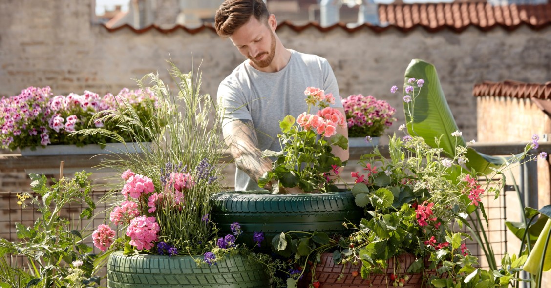 ¿Sabías que hay flores que florecen todo el año?