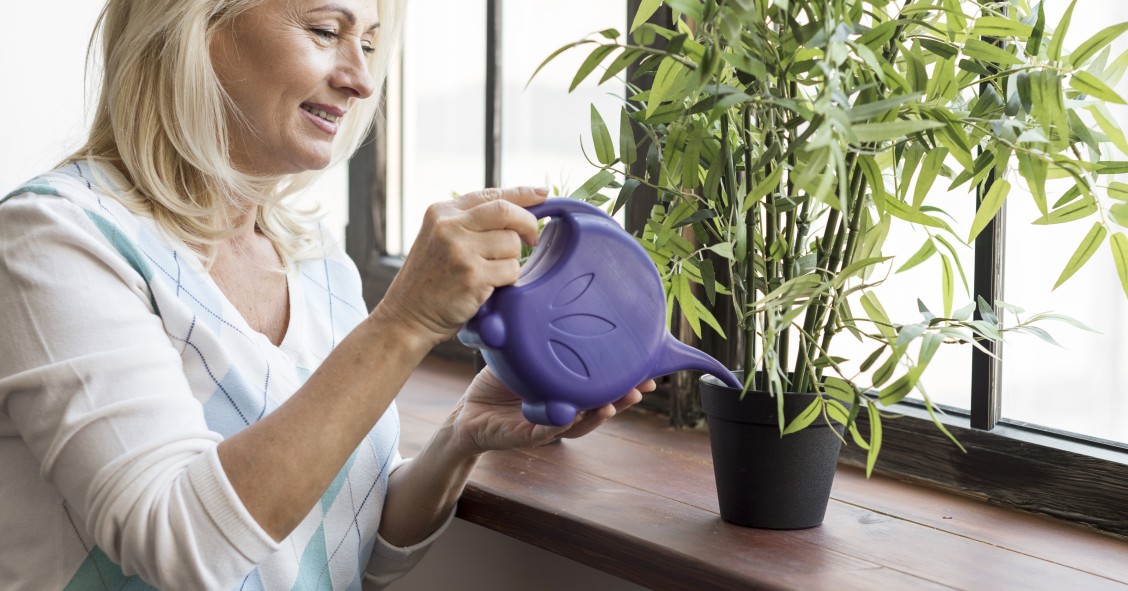 Planta marihuana en casa