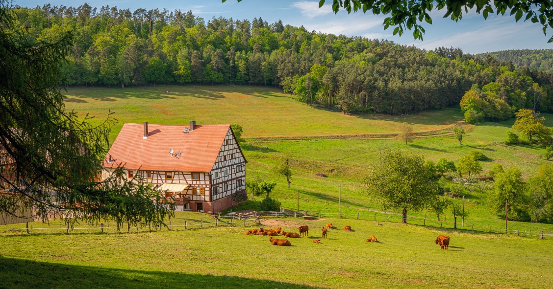 Trámites para hacer un camping o un hotel en terreno rústico