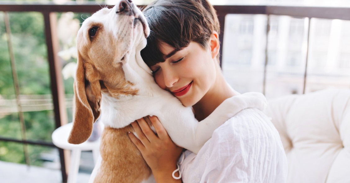 mascotas en comunidades de vecinos