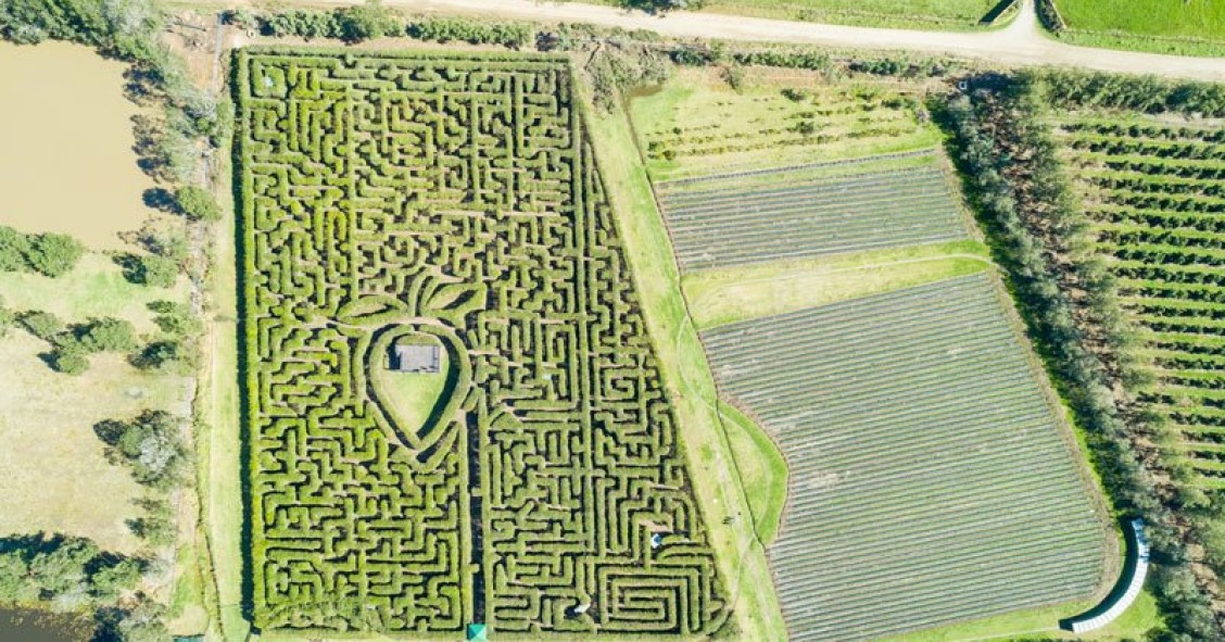 Los laberintos más impresionantes del mundo