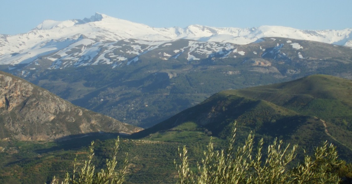 Sierra Nevada