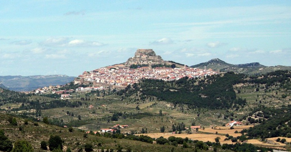 Morella
