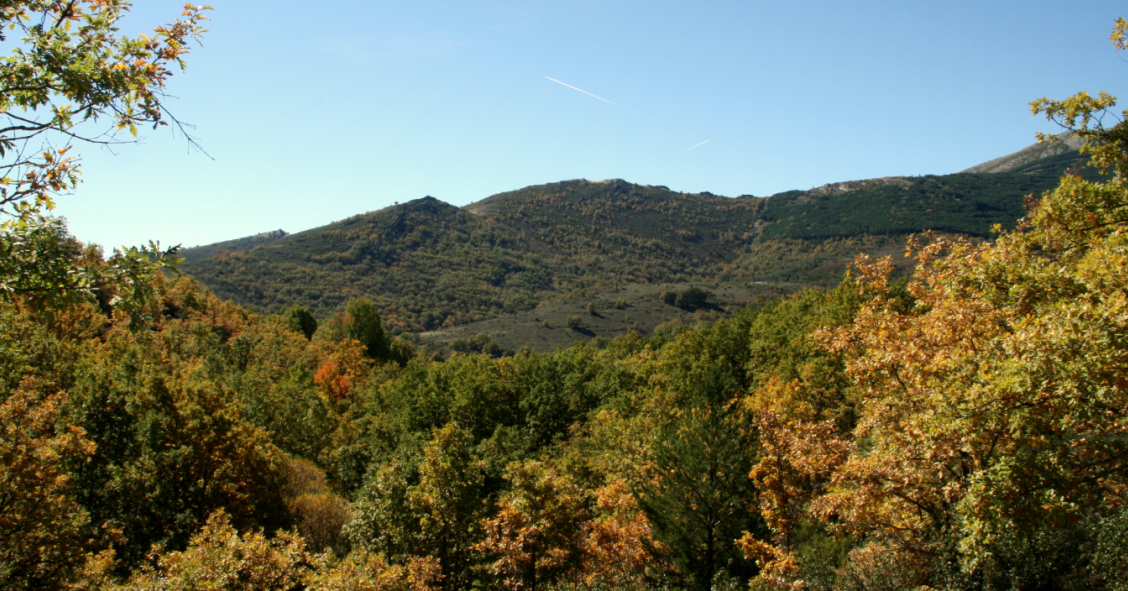 sierra del rincon