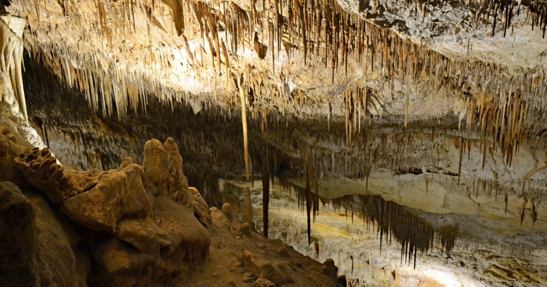 coves drach